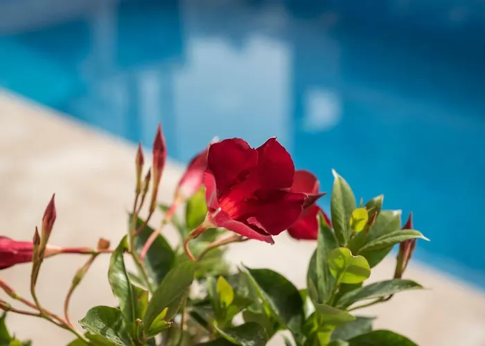 Villa Kambos Platanias